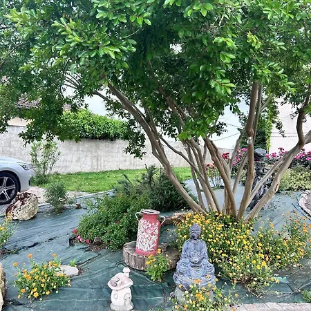 Gasthuis L'etoile D'adour Aire-sur-lʼAdour