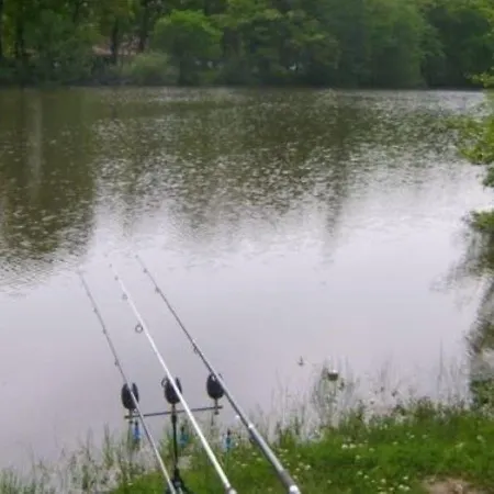 Gasthuis L'etoile D'adour Aire-sur-lʼAdour