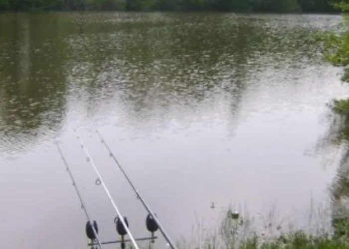 Gasthuis L'etoile D'adour Aire-sur-lʼAdour